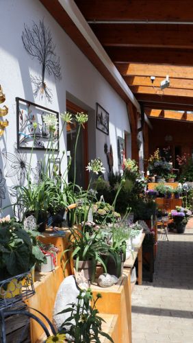 galerie_geschaeft_11